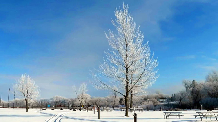 protect_the_fiber_laser_from_freezing_in_winter.png